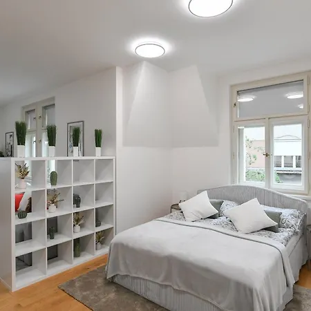 Luxury Modern With View Daire Prag